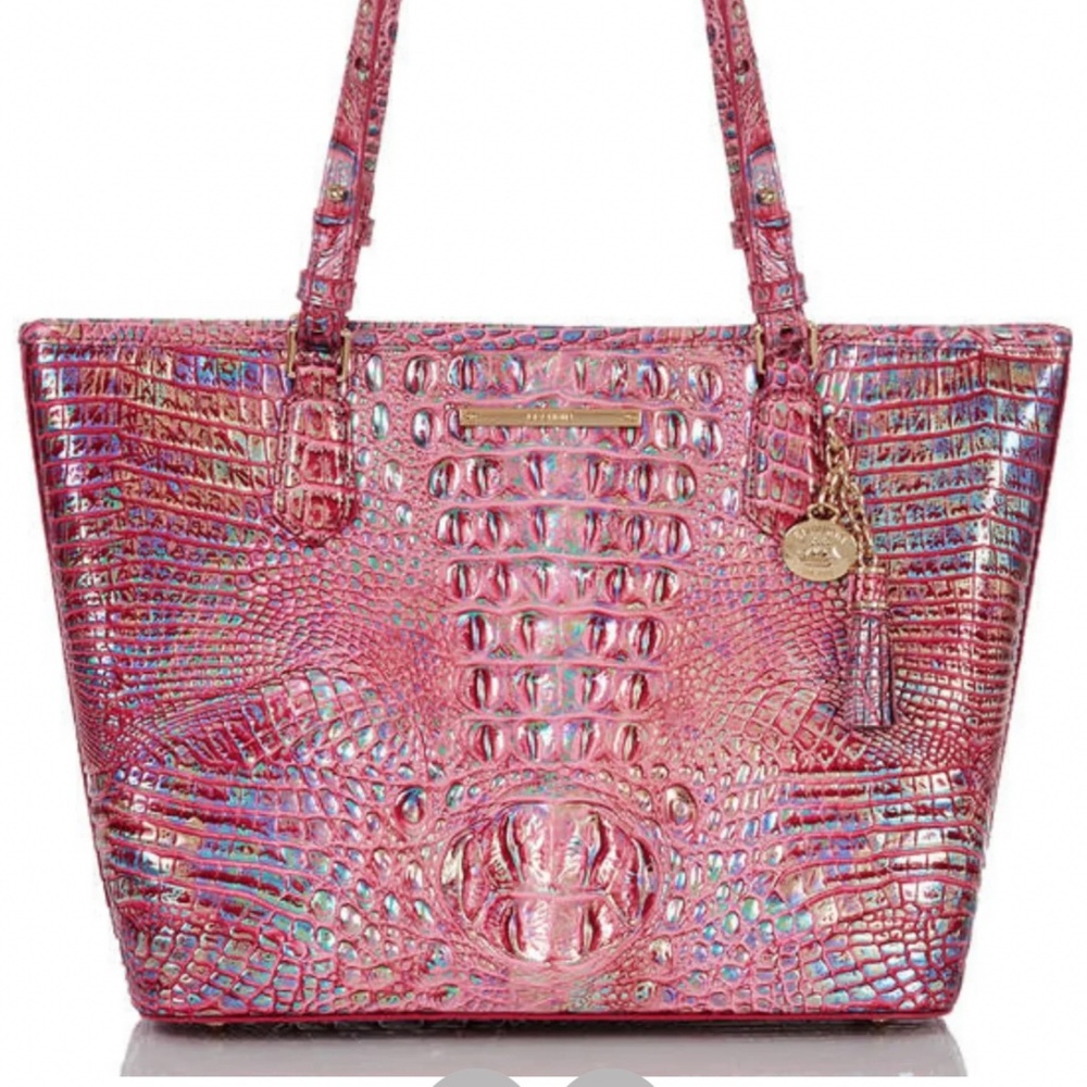 NWT Brahmin Wonderland Medium Asher Tote